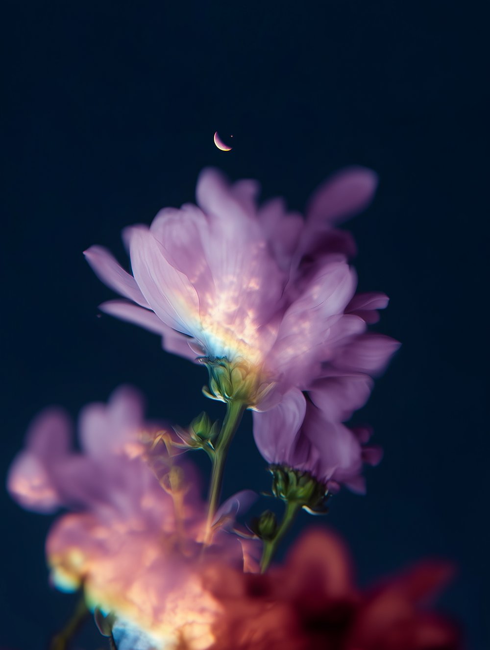 Image of Mixed Signals