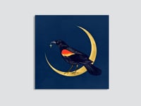 Image 1 of Red Wing Blackbird Art Print