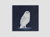 Image 1 of Snowy Owl Art Print