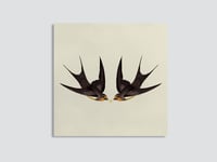 Image 1 of Swallow Birds Wall Art Print