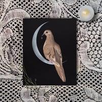 Image 2 of Mourning Dove Bird Art Print
