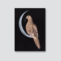 Image 3 of Mourning Dove Bird Art Print