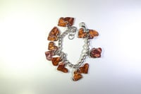 Image 2 of The Tiger’s Eye 