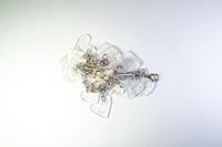 Image 3 of The Clear One 