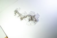 Image 4 of The Clear One 