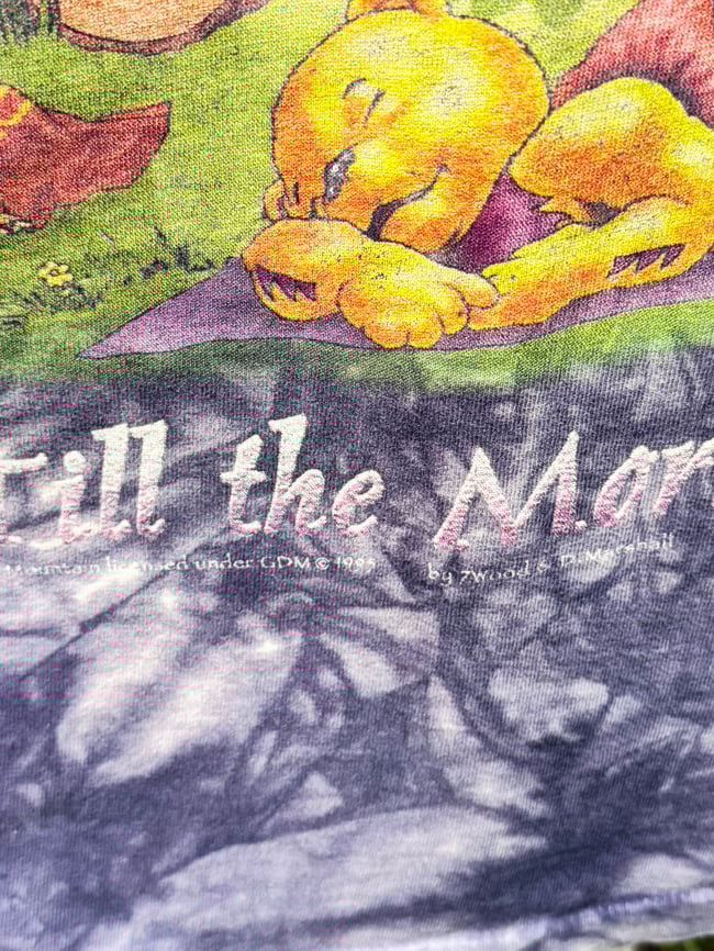 Grateful Dead 1995 Til the Morning Comes T-Shirt - Size XXL 