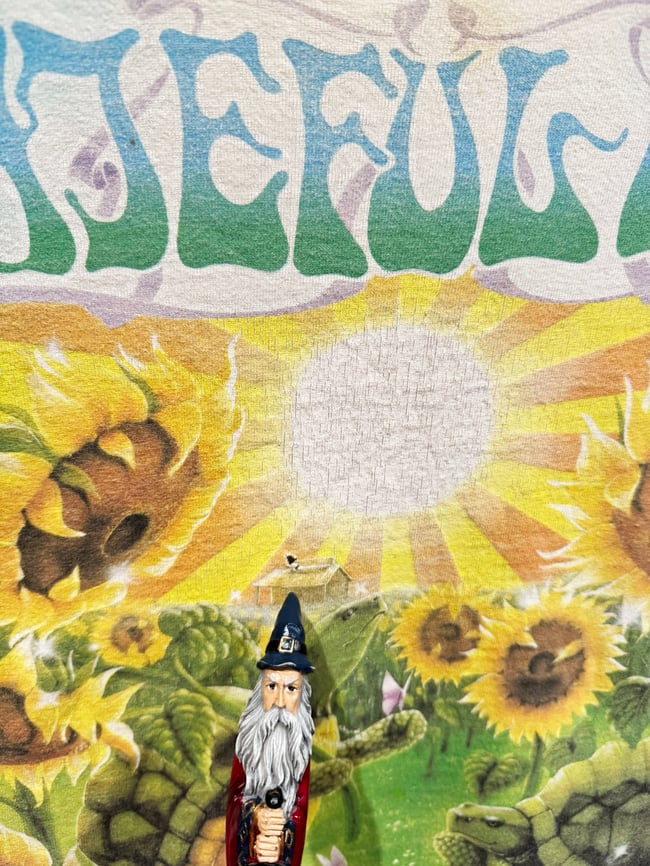 Grateful Dead 1995 Summer Tour T-Shirt - Size XL