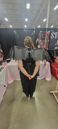 Image 2 of Bat Wing Harness