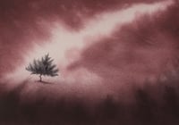 Image 2 of Moments before