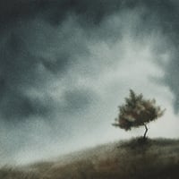 Image 2 of Nothing to see here