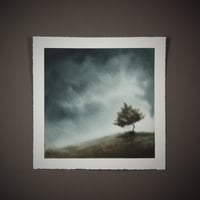 Image 1 of Nothing to see here