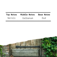 Image 3 of Ivy Blaze