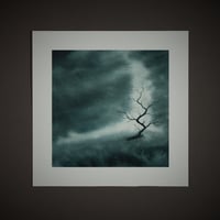 All that I've earned - Print