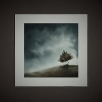 Nothing to see here - Print