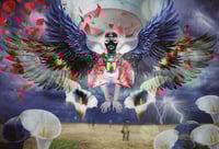 Image 1 of 'Welcome'