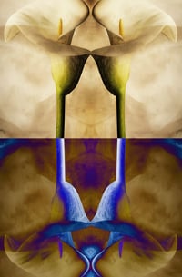 Image 1 of 'As Above So Below'