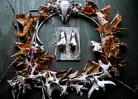 Image 3 of Brass and Bone ear weights