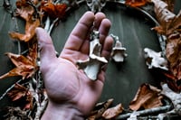 Image 5 of Silver Capped Deer Vertebra earrings