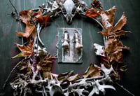 Image 3 of Bones in Chains