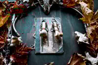 Image 1 of Bones in Chains