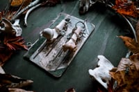 Image 2 of Bones in Chains