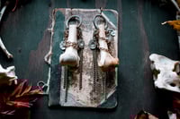 Image 4 of Bones in Chains