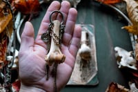 Image 5 of Bones in Chains