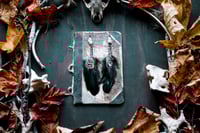 Image 1 of Stone and Feather earrings