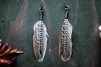 Image 2 of Simple Feather earrings