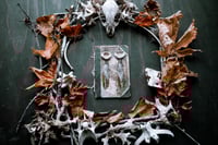 Image 2 of Bone Feather and Beads earrings