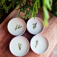 Image 1 of Cedar Salve