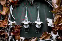 Image 2 of Silver Soldered Elk Vertebra large ear weights