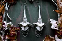 Image 4 of Silver Soldered Elk Vertebra large ear weights