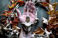 Image 6 of Silver Soldered Elk Vertebra large ear weights