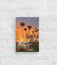 Image 2 of  Coreopsis Sunset - 8” X 12” Canvas Print