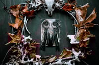 Image 3 of Momento Mori earrings