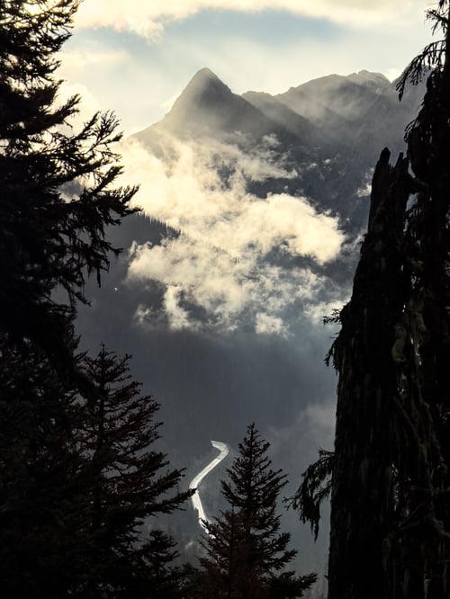 Image of 2026 Cheese Gallery Calendar **PRE-ORDER**