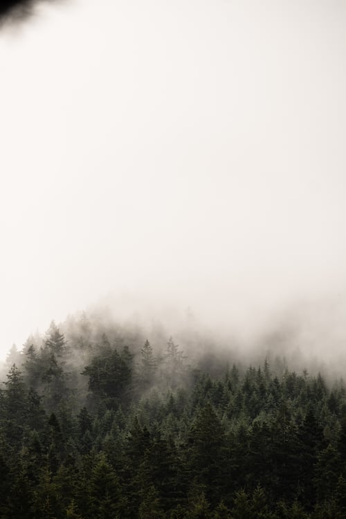 Image of 2026 Cheese Gallery Calendar **PRE-ORDER**