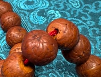 Image 5 of Bodhichitta Seed Mala - Medium Brown - 12mm to 12.5mm Bodhi Seeds - Great Beginning Mala