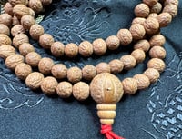 Image 1 of Ruktu Seed Mala - 8-9mm - Light Brown - Asura Cave - Pharping - Sourced From Local Trees