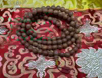 Image 2 of Authentic Timal Bodhi Seed Mala - All 3-Eye Seeds - 13 to 14mm - Rare Locality & Feature
