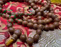 Image 4 of Authentic Timal Bodhi Seed Mala - All 3-Eye Seeds - 13 to 14mm - Rare Locality & Feature