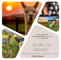 Image 1 of Learn to crochet at Cadbury Alpacas Saturday November 15th 3-5.30 pm