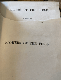 Image 3 of Flowers of the Field