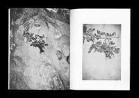 Image 5 of ne`er such a thing - THE BOOK Second Edition 