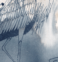 Image 4 of Le héron