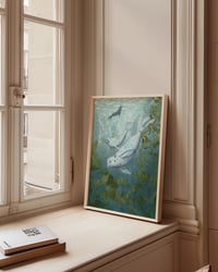 Image 2 of Les phoques