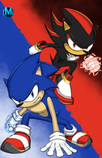 Sonic x Shadow Print