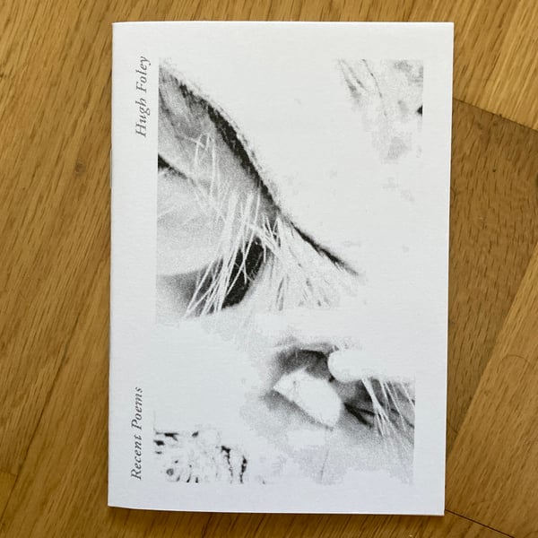 Image of Recent Poems by Hugh Foley