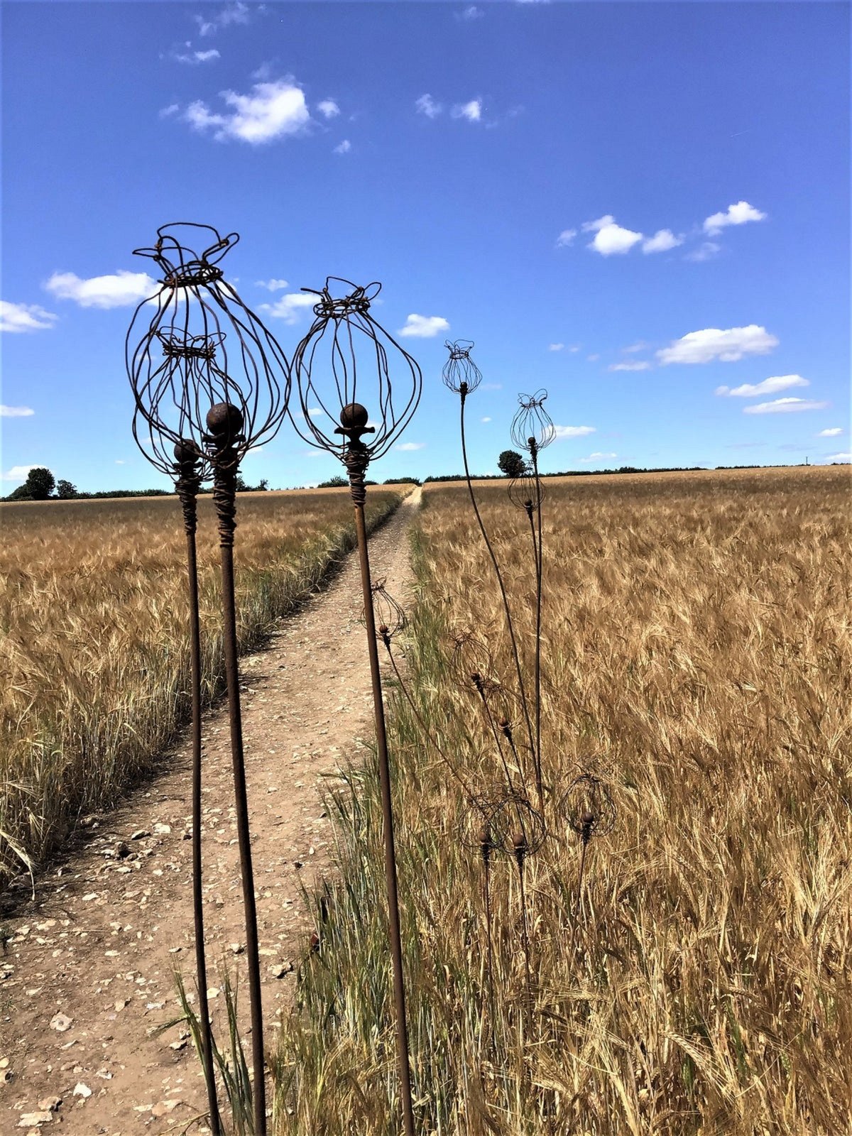Single Seedhead plant stake